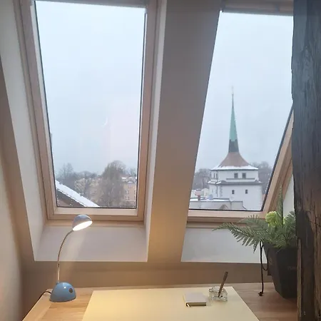 Stadtpalais Bellevue-suite 3- Zimmer- Maisonettewohnung Mit Dachterrasse Maximal 4 Personen Daire *
