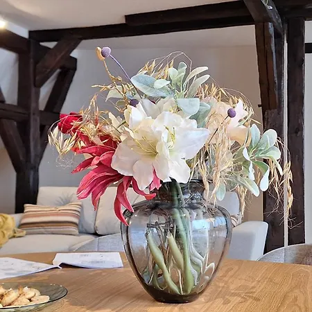 Stadtpalais Bellevue-suite 3- Zimmer- Maisonettewohnung Mit Dachterrasse Maximal 4 Personen