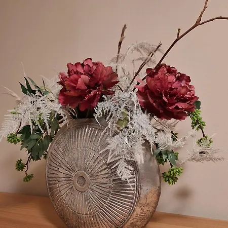 Stadtpalais Bellevue-suite 3- Zimmer- Maisonettewohnung Mit Dachterrasse Maximal 4 Personen