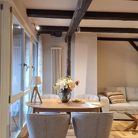 Daire Stadtpalais Bellevue-suite 3- Zimmer- Maisonettewohnung Mit Dachterrasse Maximal 4 Personen Bautzen