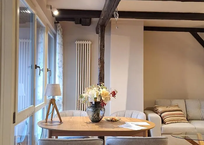 Apartment Stadtpalais Bellevue-suite 3- Zimmer- Maisonettewohnung Mit Dachterrasse Maximal 4 Personen Bautzen